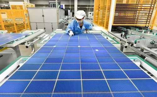 新華社專題報道 年輕獨角獸 華晟新能源