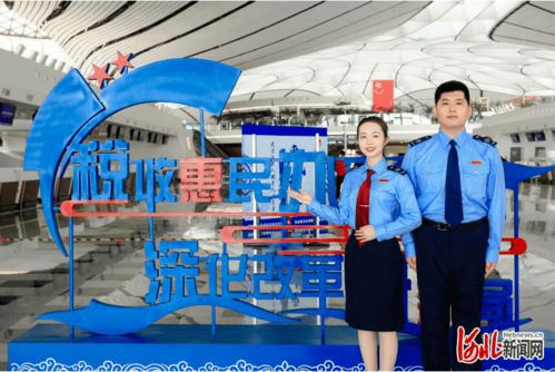 河北省稅務(wù)局實(shí)施人才 科技 雙輪驅(qū)動 推進(jìn)稅收征管改革落地