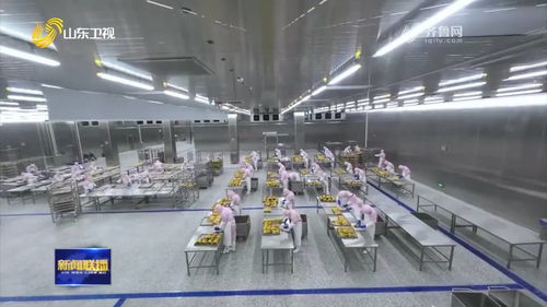 聊城烤鴨 首飛 歐洲 特色農產品國際 朋友圈 不斷擴大