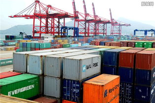 上海海關(guān)口岸通關(guān)效率與進(jìn)口增幅雙提升，助力外貿(mào)高質(zhì)量發(fā)展